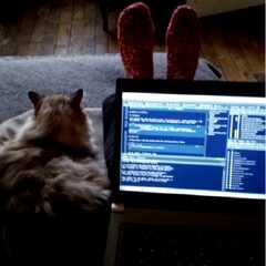 A fluffy cat resting beside a laptop full of code